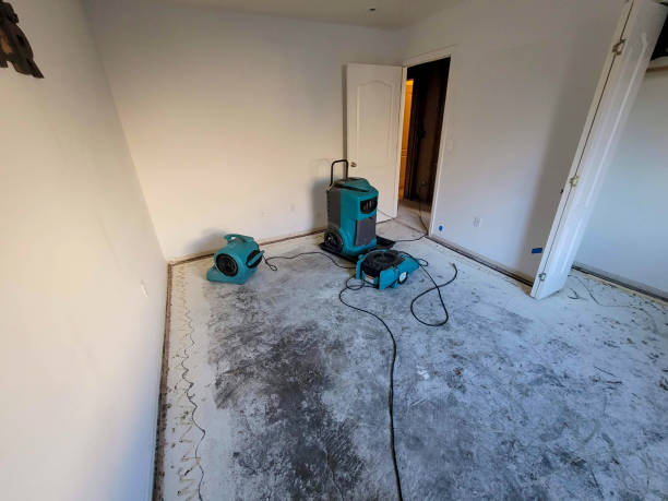 Best Commercial water damage restoration  in Lone Star, TX